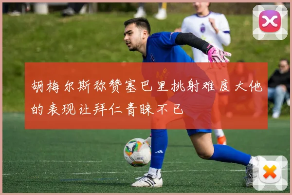 胡梅尔斯称赞塞巴里挑射难度大他的表现让拜仁青睐不已